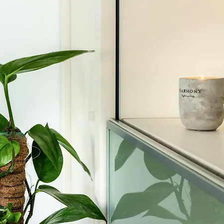Lakeside Village Apartment, Apartment Lugano