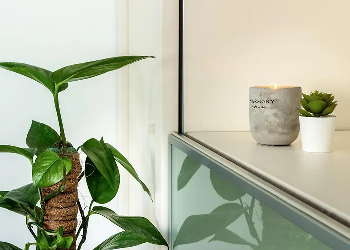 Esclusivo E Unico Balcone Sul Di Lugano, Gandria Daire Lugano